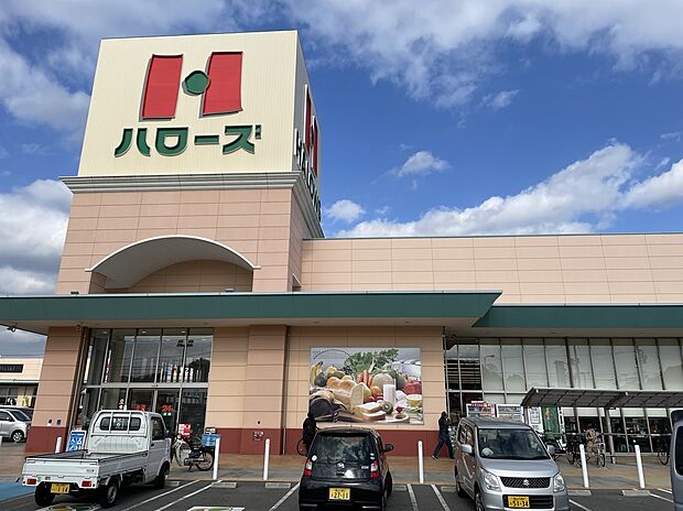 ハローズ向島店（約1,000m）