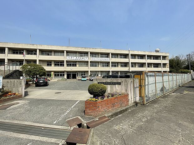 尾道市立高西中学校(約1m)