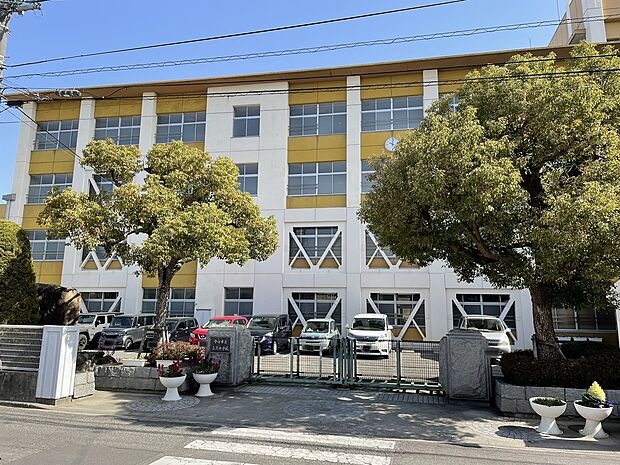 今治市立立花中学校（約480m）