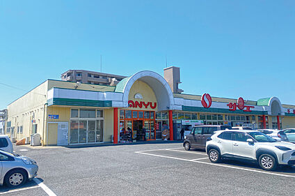 サンユーストア千波店  約1210m～1220m(徒歩16分)