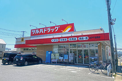 ツルハドラッグ水戸千波西店  約1270m～1280m(徒歩16分)