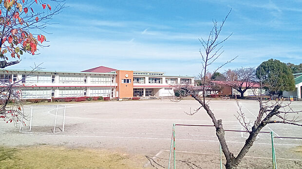 並木小学校