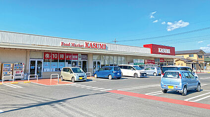 カスミ佐和店 約1000m～1060m(徒歩13分～14分)