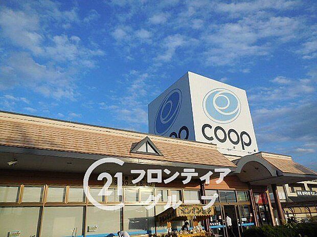 コープいまご（約450m）