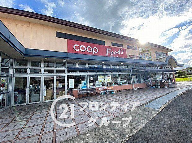 コープおしくま（約260m）