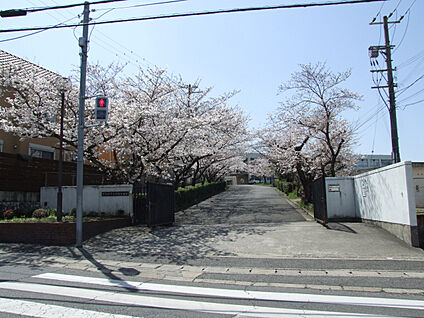 市立桜台中学校 現地から1700m～1960m。(徒歩22分～25分。)