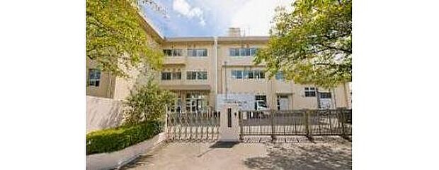 八王子市立石川中学校(約258m)