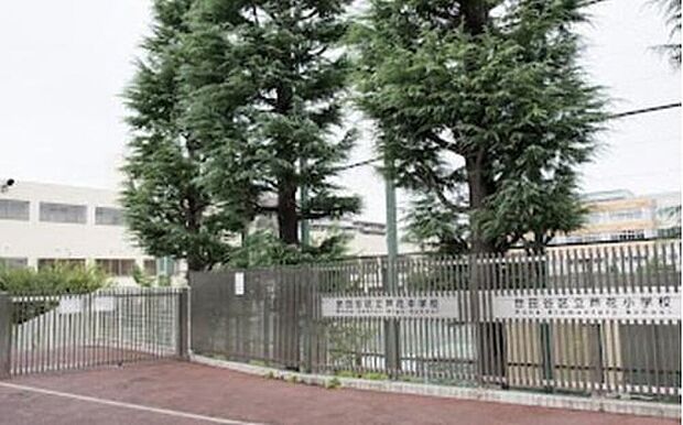 世田谷区立芦花中学校（約600m）