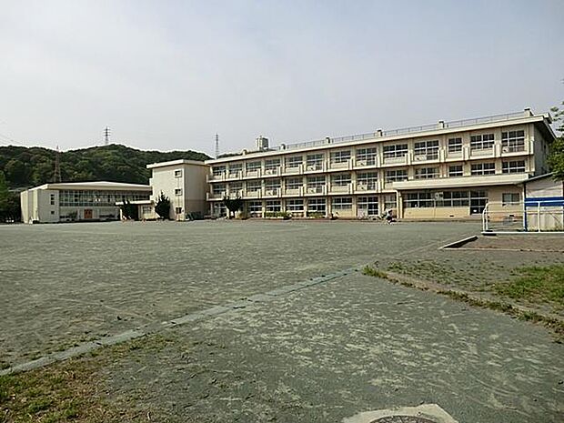 鎌倉市立玉繩小学校（約240m・徒歩3分）