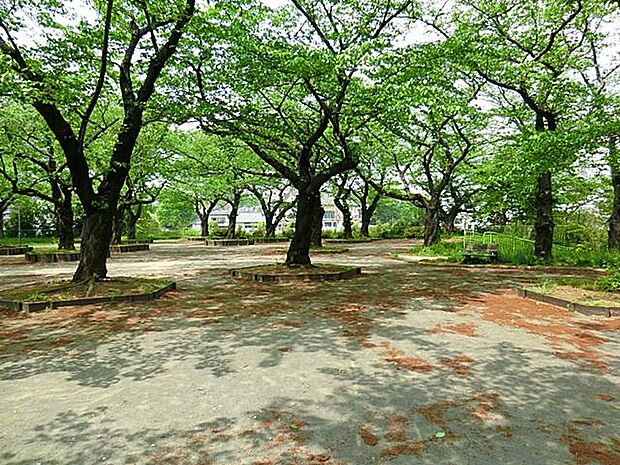 幸ヶ谷公園（約280m）