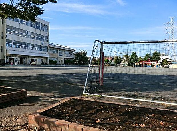 横浜市立新吉田第二小学校(約1,100m)