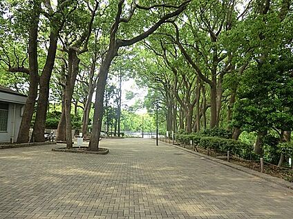 常盤公園 450m