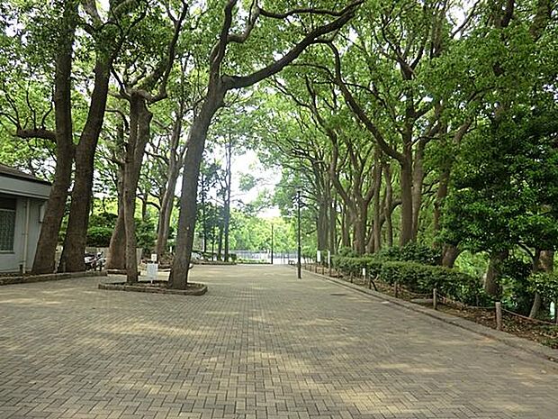 常盤公園（約450m）