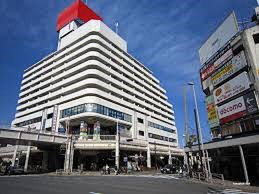 サンビーチ追浜(約1,100m)