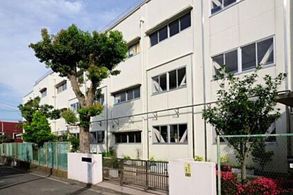 横浜市立星川小学校 570m(8分)