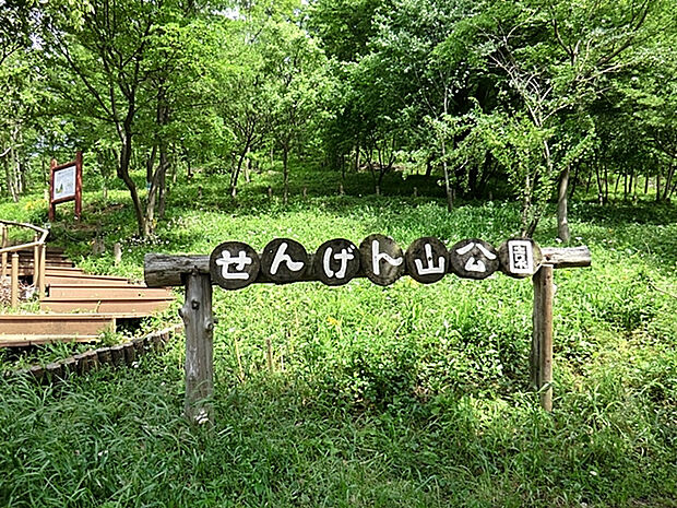 浅間山公園（約291m）