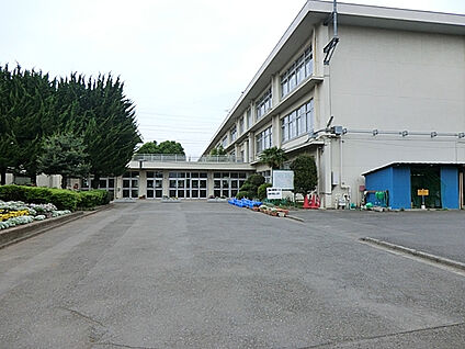 市立小平第十二小学校 1519m