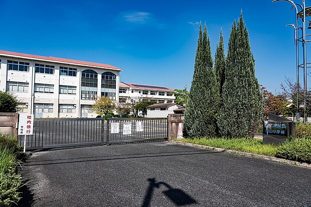 美山小学校(約950m)