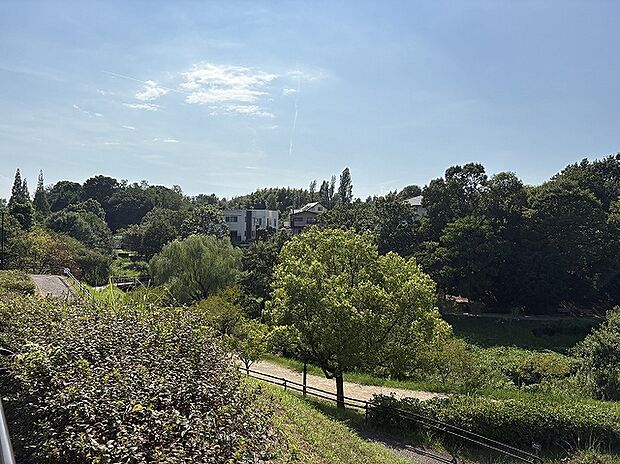 あいち健康の森公園（約2m）