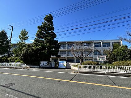 岡崎小学校 2000m(徒歩25分)