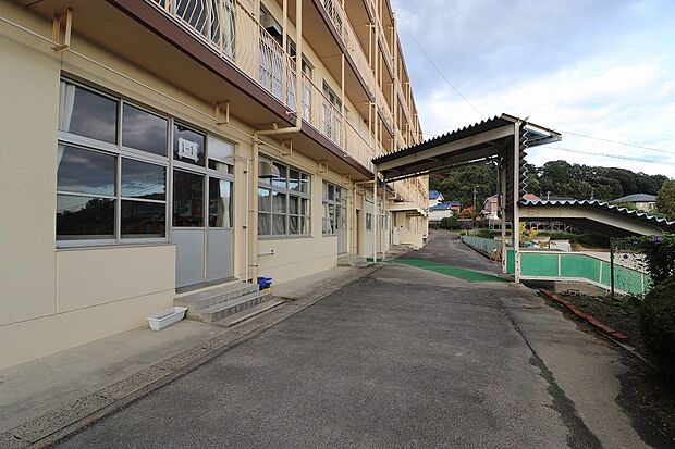 高座小学校（約1m）