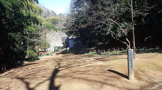 たちばなふれあいの森（約389m）