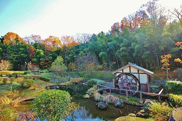 ◇◆ホタルの里上谷戸親水公園◆◇上谷戸地区の中央を流れる上谷戸川の周辺を自然観察や水遊びができる親水公園が近くにあり、自然豊かな周辺環境です!季節にはほたるの観察ができ、自然を身近に感じられます♪