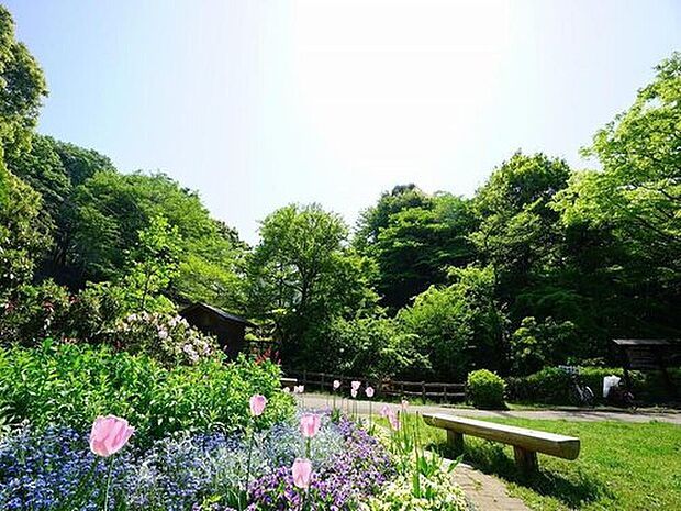 芹ヶ谷公園(約900m)