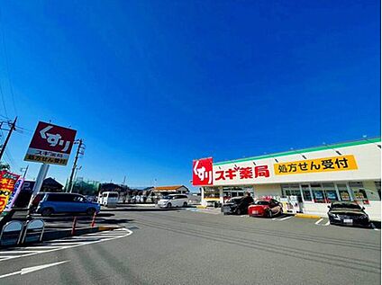 スギ薬局南町田店 約1200ｍ(徒歩15分)