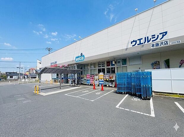 ウェルシア藤沢店(約1,000m)
