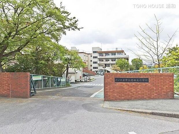さいたま市立道祖土小学校(約600m)