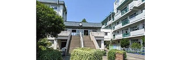 さいたま市立栄和小学校（約500m）