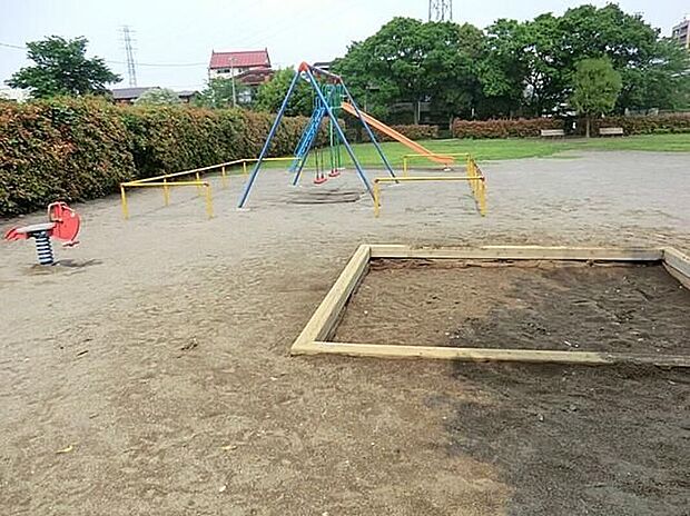 辻鉢木公園(約200m)