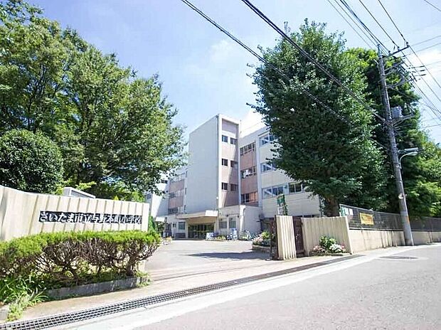 与野本町小学校(約800m)
