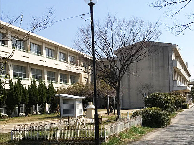 半田市立成岩小学校（約300m）