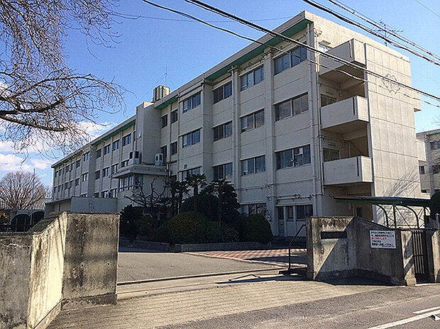 柏原小学校（約790m）