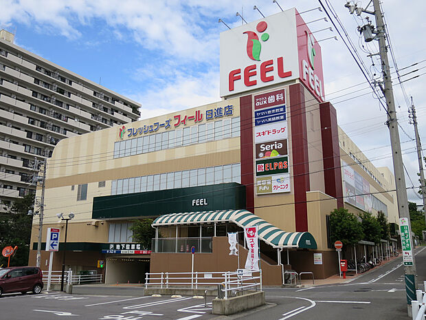 フィール日進店（約550m）