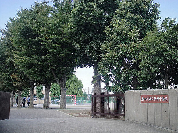 柏原中学校(約330m)