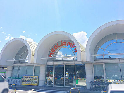 メグリアミニ 加茂川店 450m(徒歩6分)