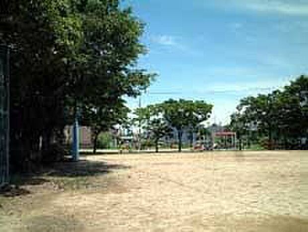 西起公園（約300m）