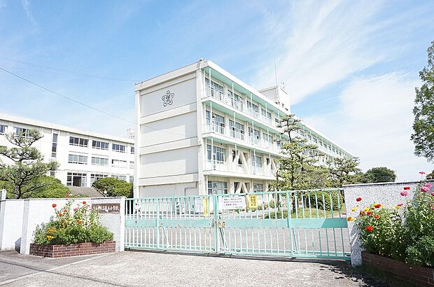 篠木小学校(約1m)