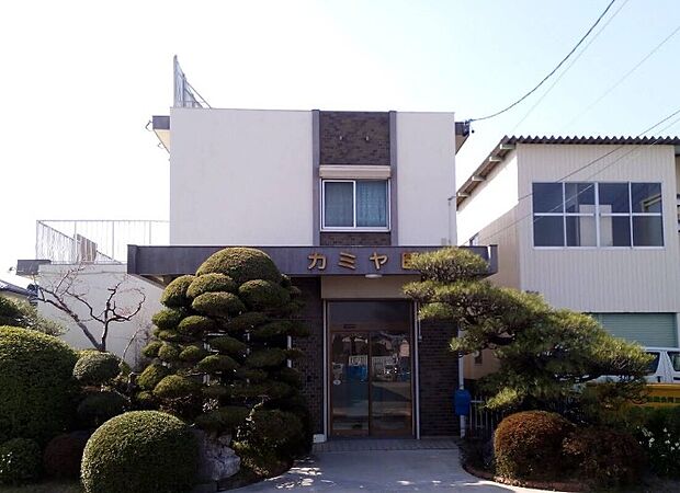 カミヤ医院(約39m)