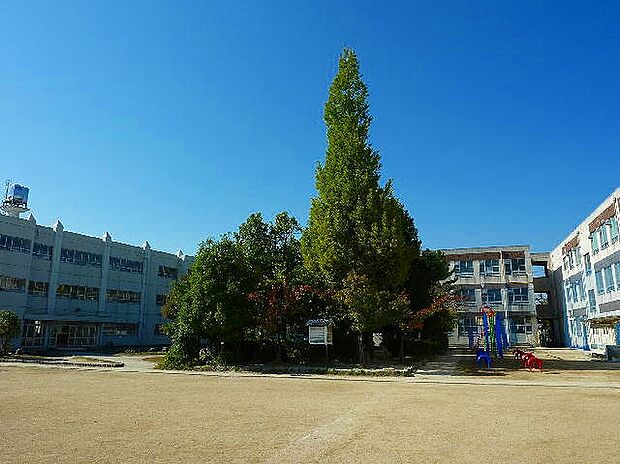 名古屋市立光城小学校(約270m)