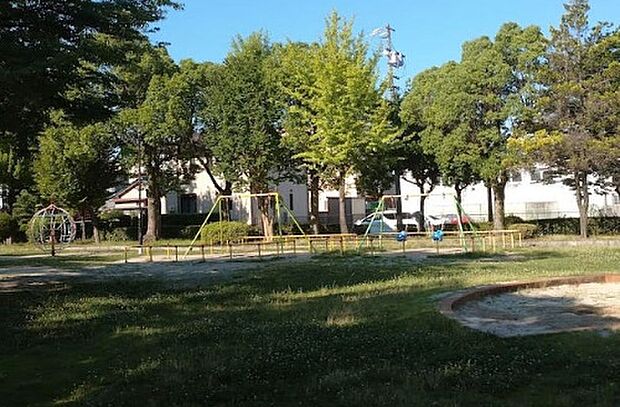 善北公園（約300m）