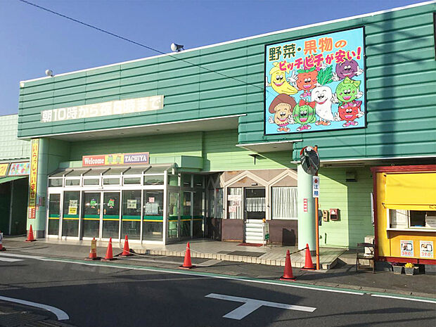 タチヤ東郷店（約1m）