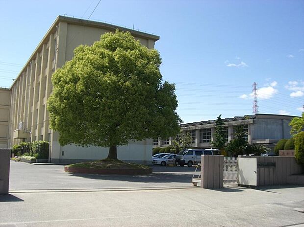 春日井市立南城中学校(約2m)