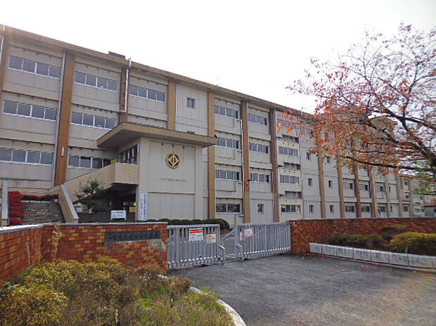 一宮市立浅井中小学校（約530m）