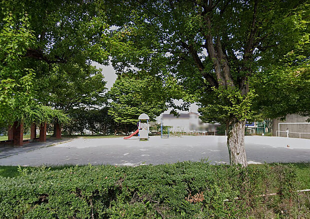 丸山公園（約300m）