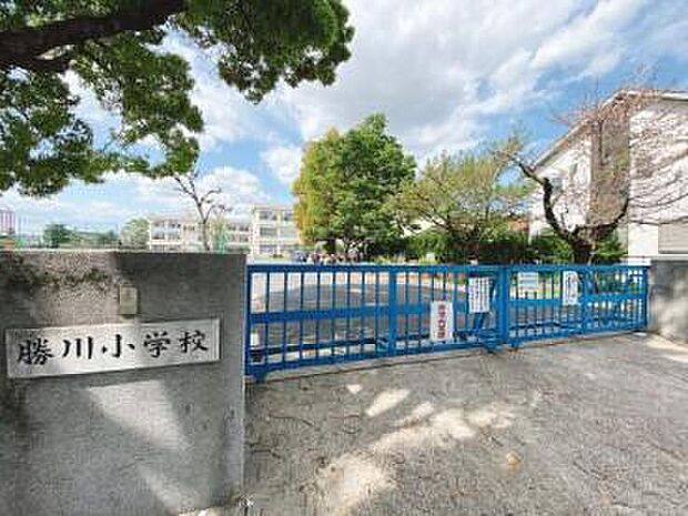 春日井市立勝川小学校(約1m)