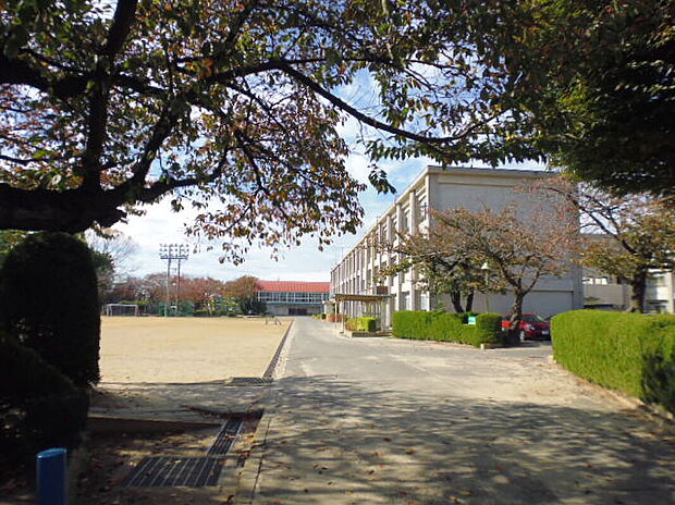 一宮市立今伊勢小学校（約1m）